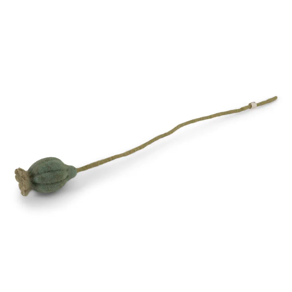 GRY & SIF Poppy Seed Head | Dusty Green