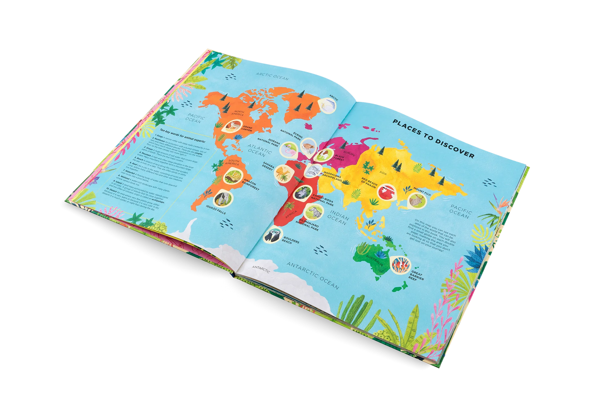 LITTLE GESTALTEN  Animals Everywhere