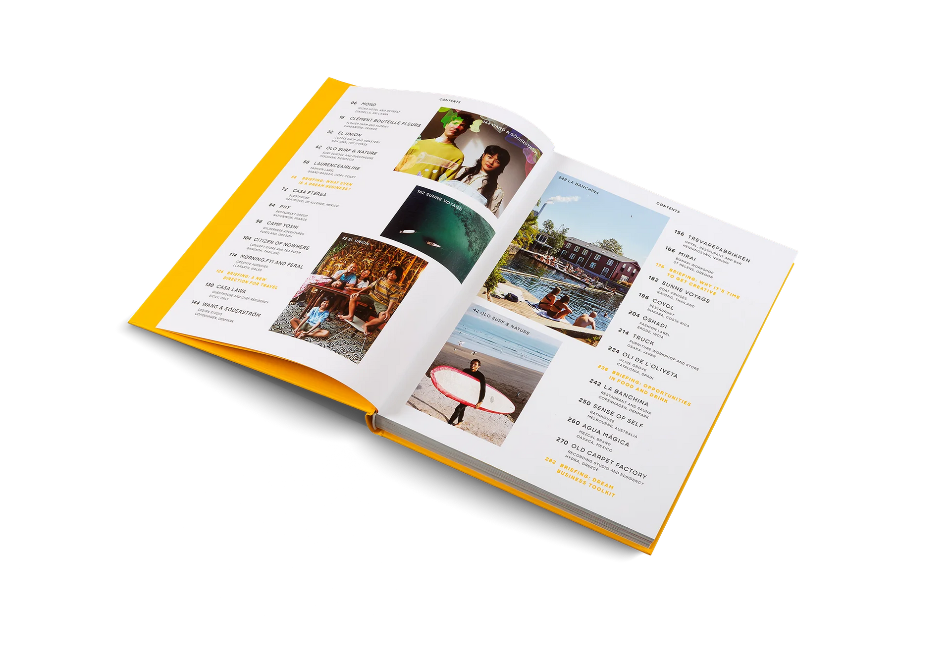 GESTALTEN Dream Businesses