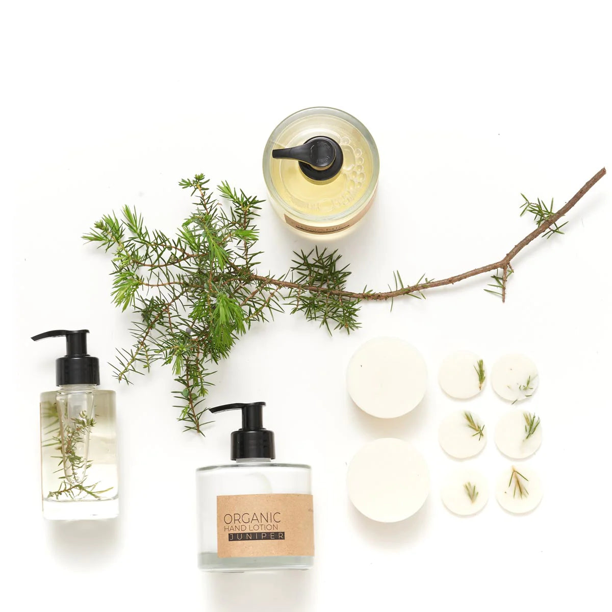 THE MUNIO Juniper & Limonium Soy Wax Candle | 550 ml