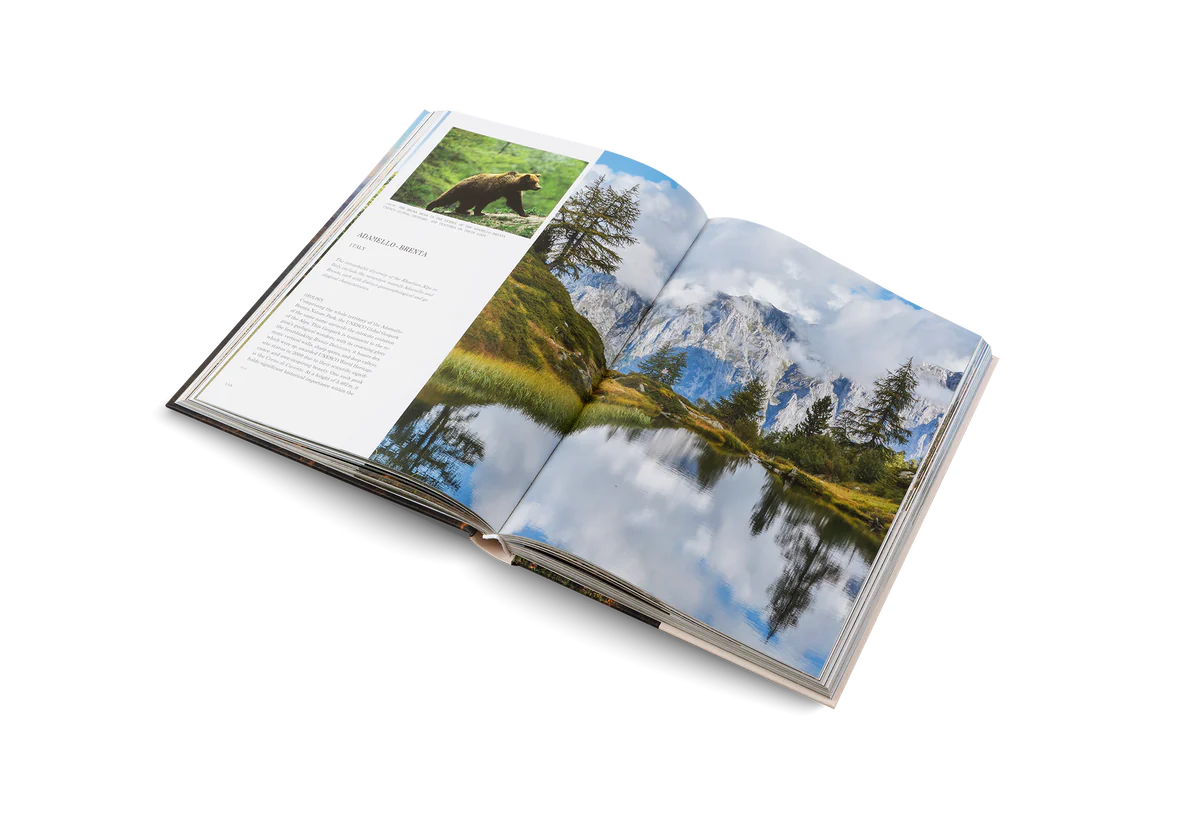 GESTALTEN  Geoparks The Unesco global