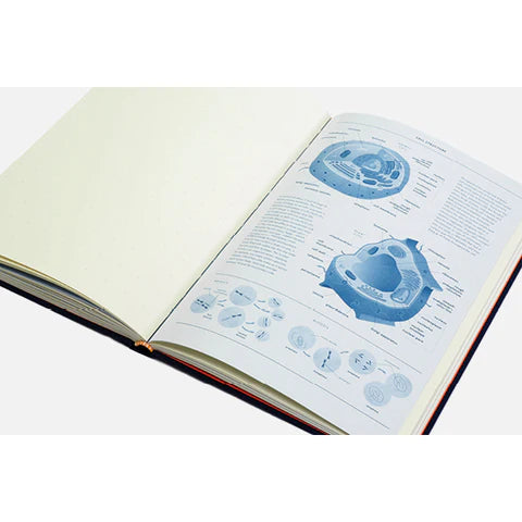 PRINCETON ARCHITECTURAL PRESS Grids & Guides Eco Notebook