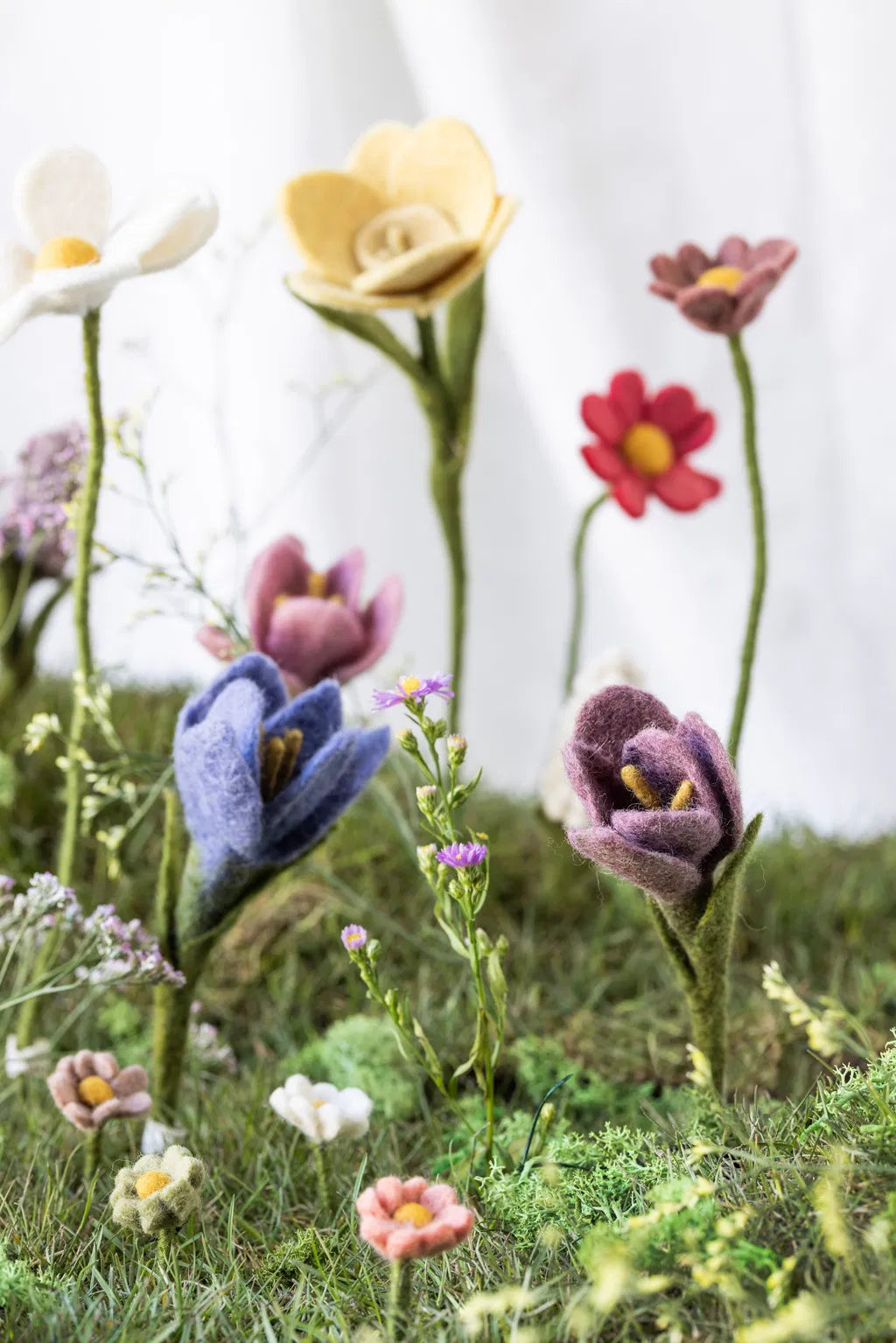 GRY & SIF Crocus | Purple