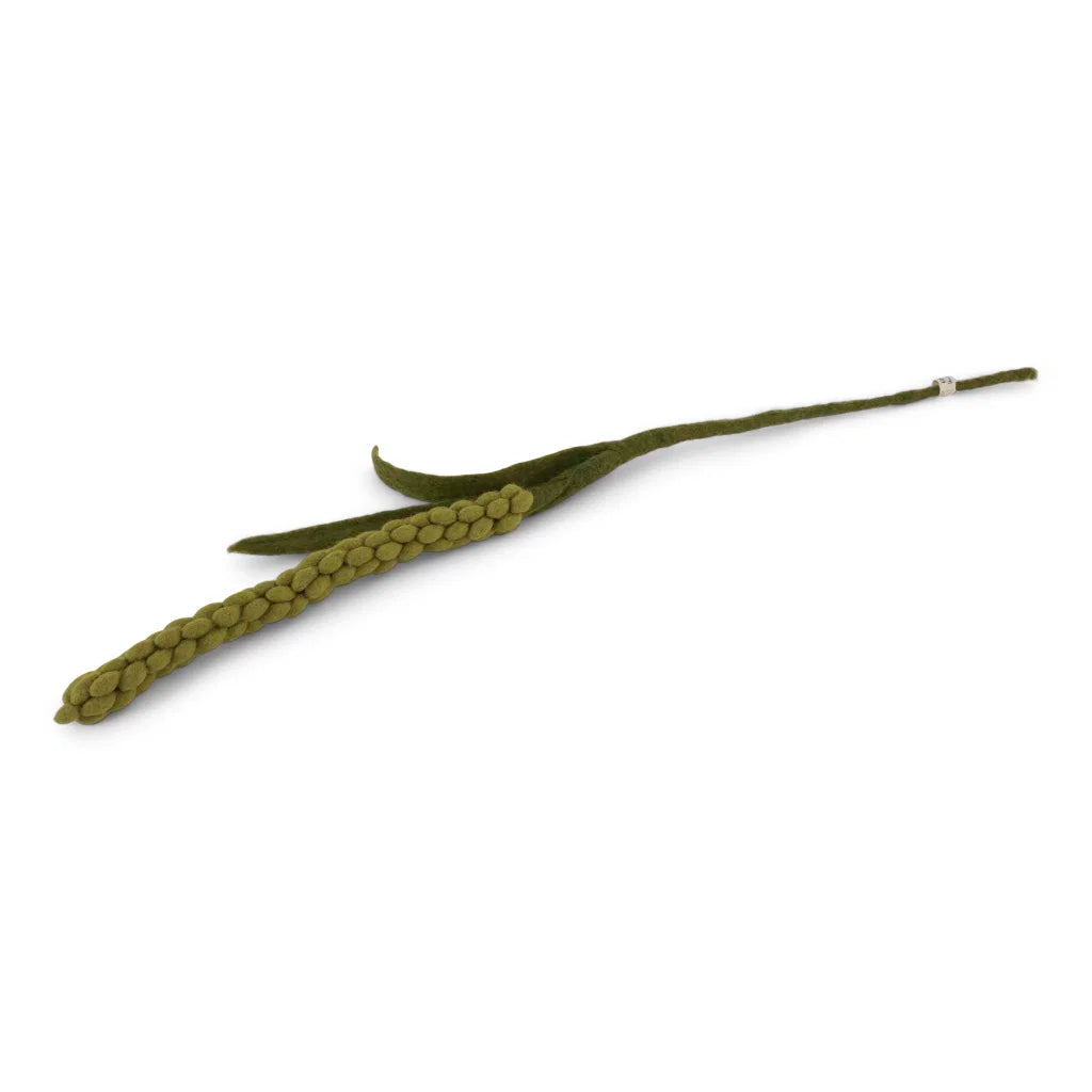 GRY & SIF Amaranth | Green