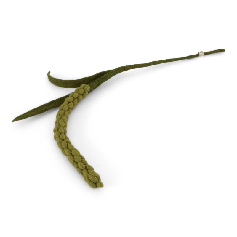 GRY & SIF Amaranth | Green