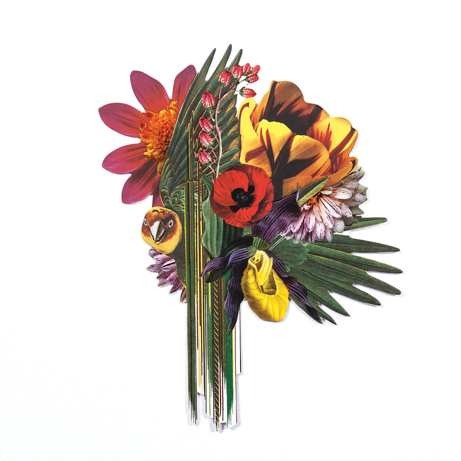 CHRISTIAN LACROIX Birds Sinfonia Greeting Cards | Set of 6