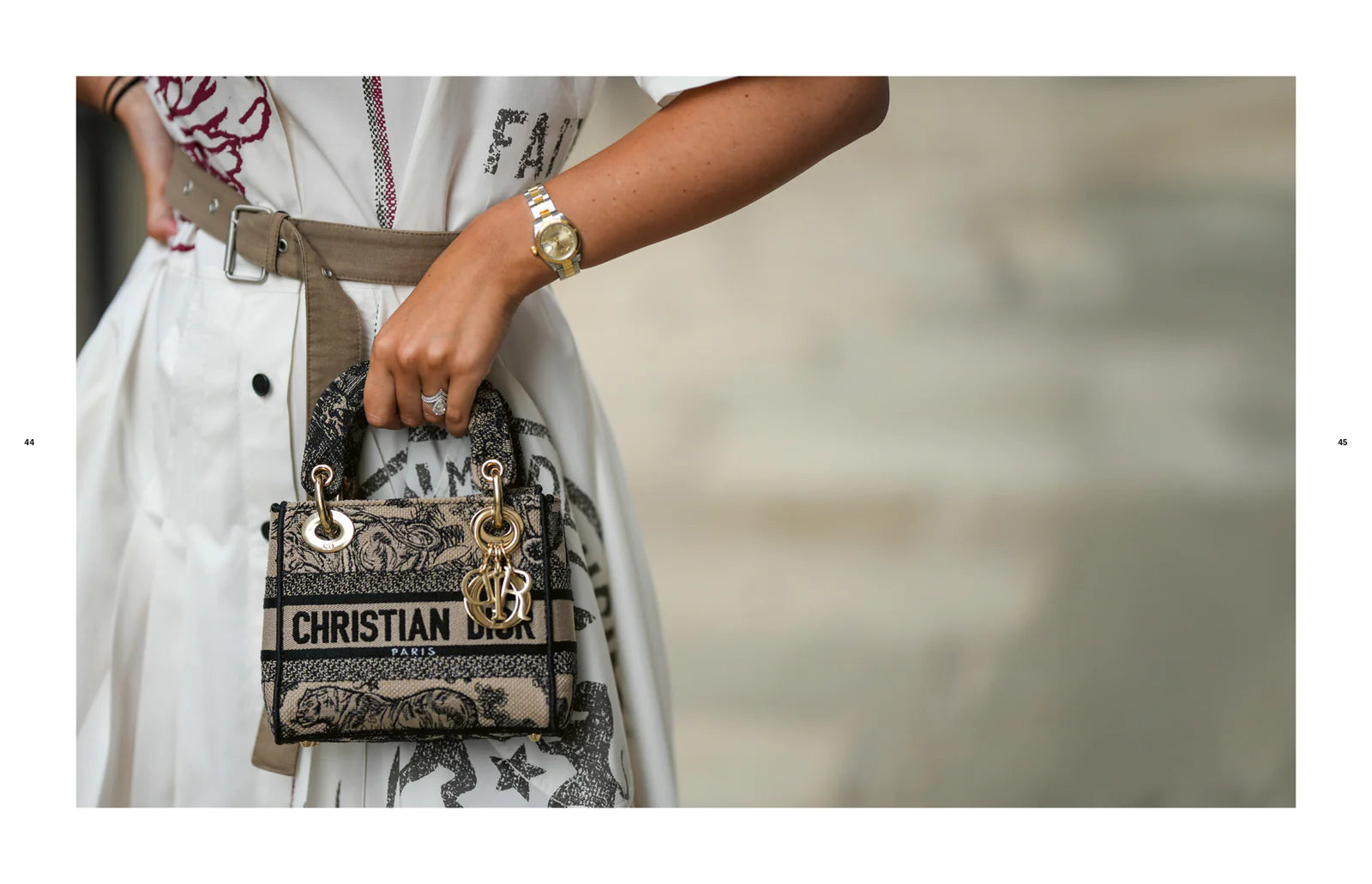 TENEUES The Ultimate Guide to Dior Bags