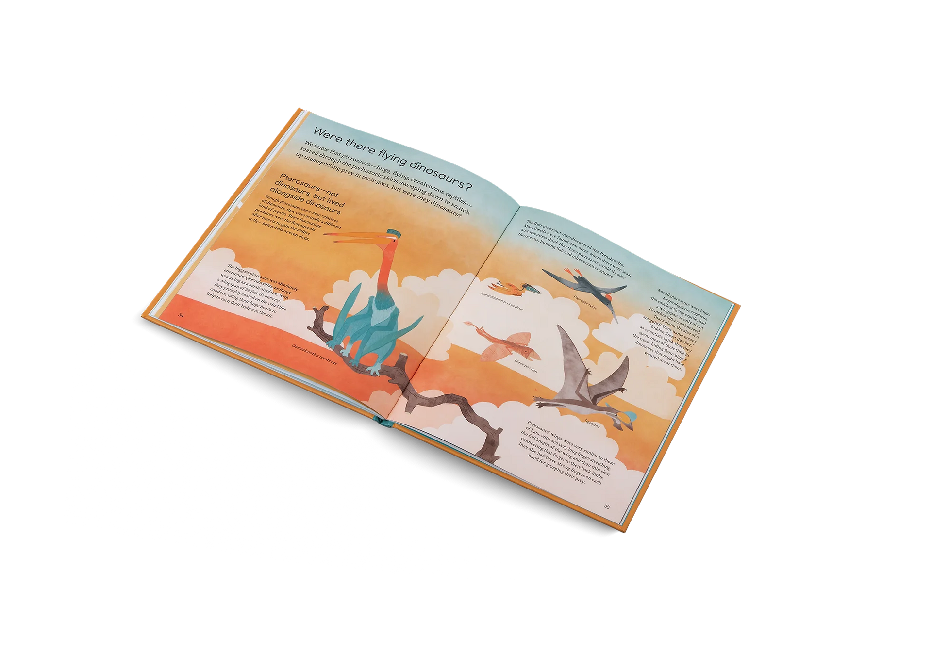 LITTLEN GESTALTEN Ask me about Dinosaurs