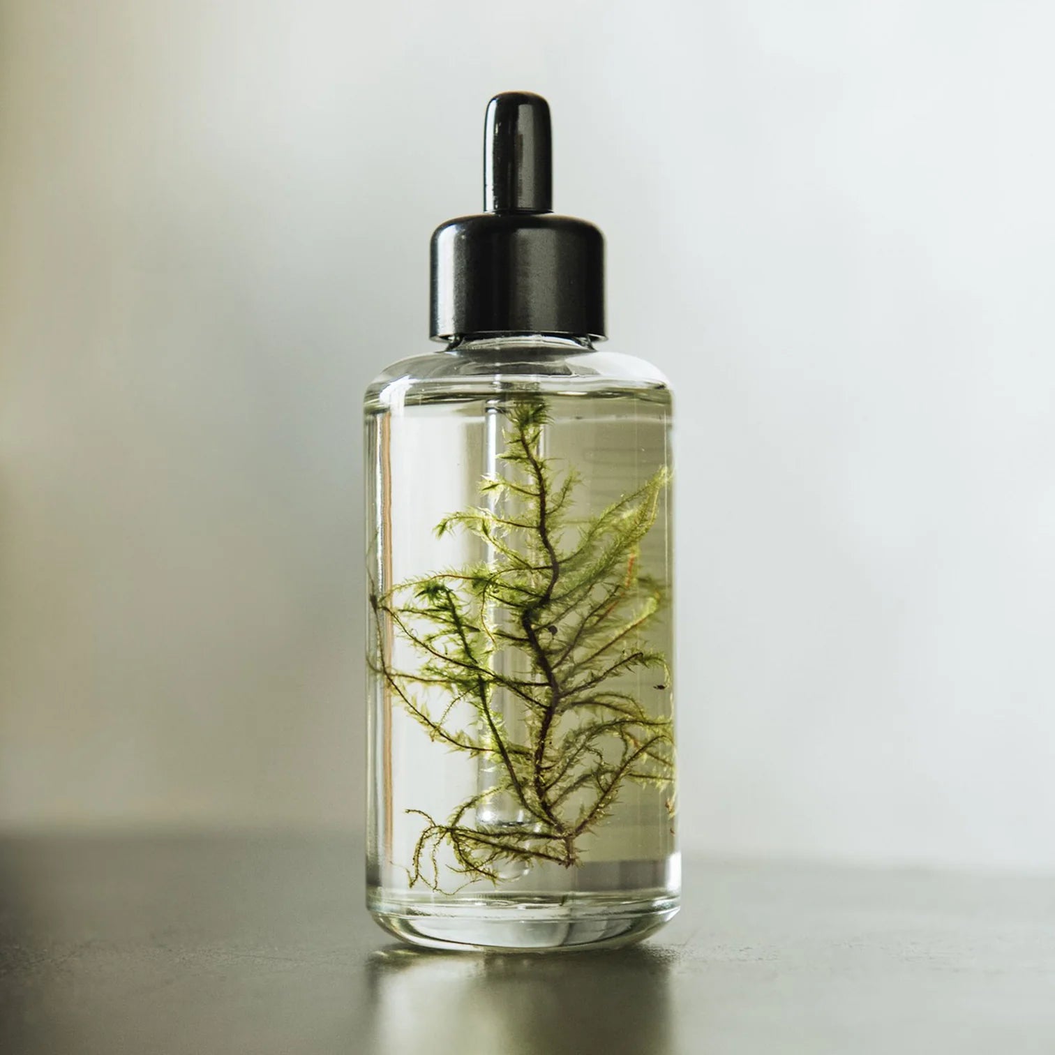 THE MUNIO Moss Body Oil | 100 ml