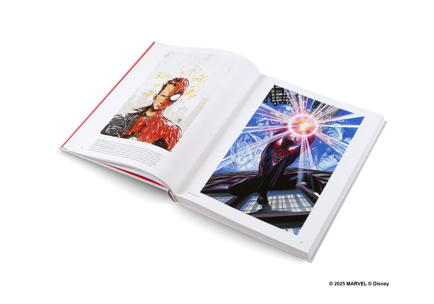 GESTALTEN Hotel New York:  The Art of Marvel