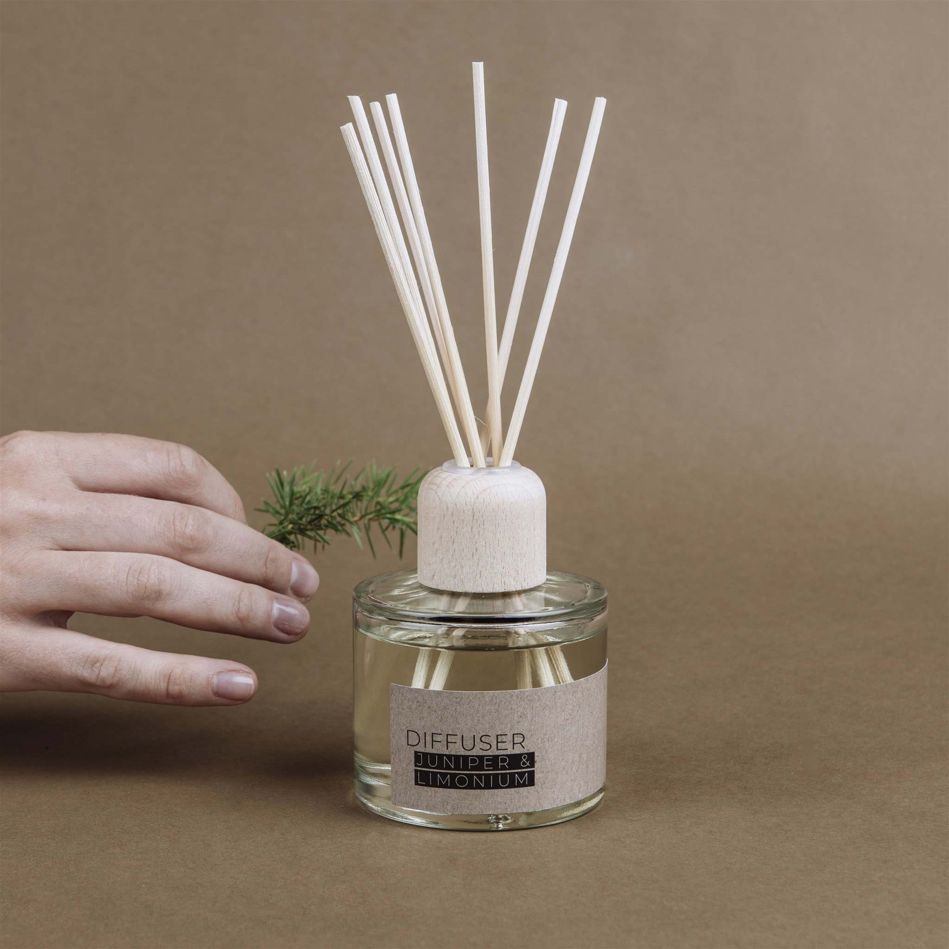 THE MUNIO Juniper & Limonium Natural Fragrance Diffuser | 100 ml