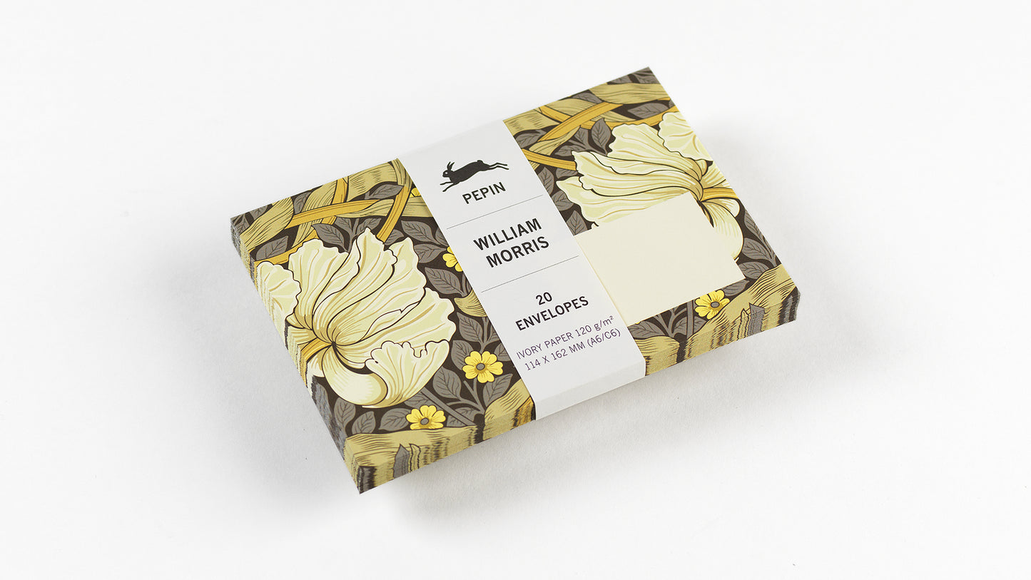 PEPIN PRESS Envelopes | Set of 20