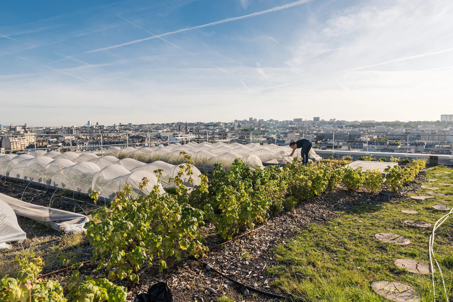 GESTALTEN Urban Farmers