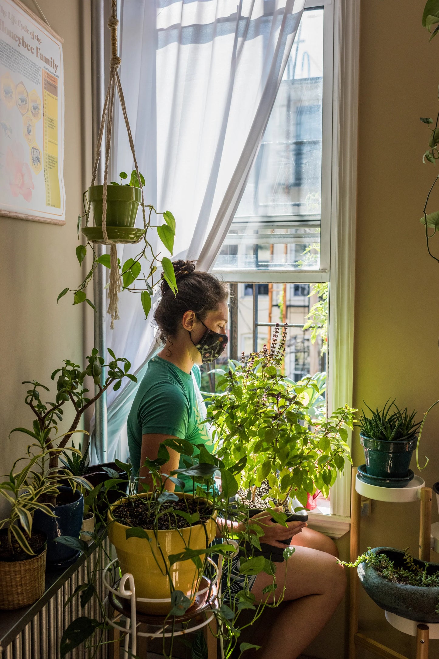GESTALTEN Urban Farmers