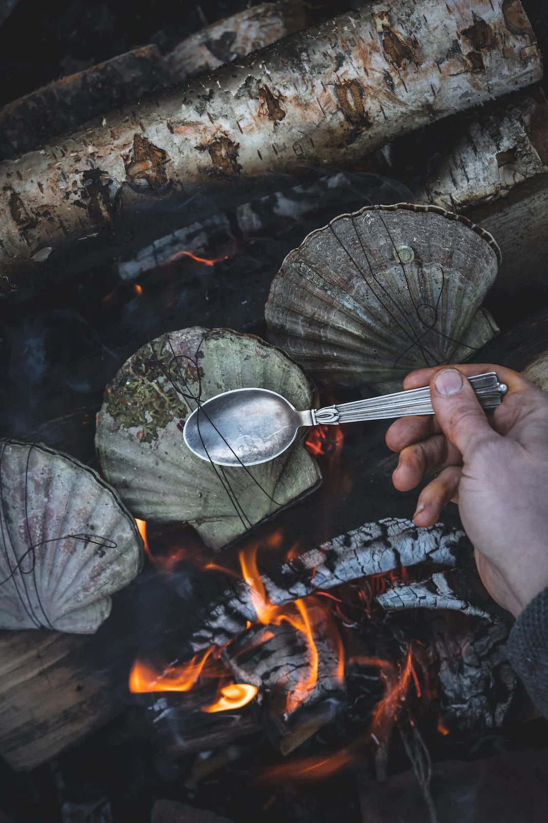 GESTALTEN Cooking on Fire