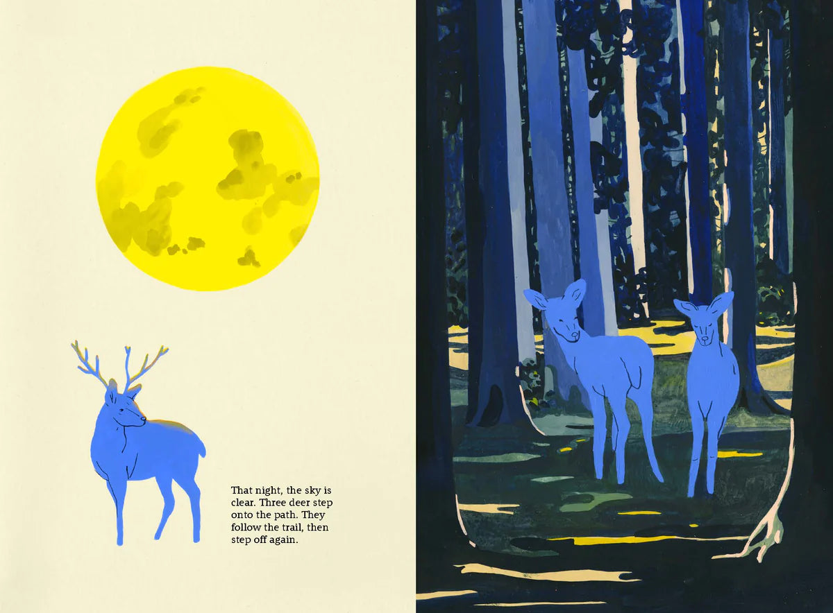 LITTLE GESTALTEN The Path